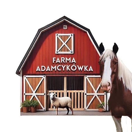 Apartamenty Adamcykowka Blisko Velo Czorsztyn! Клюшковце Экстерьер фото