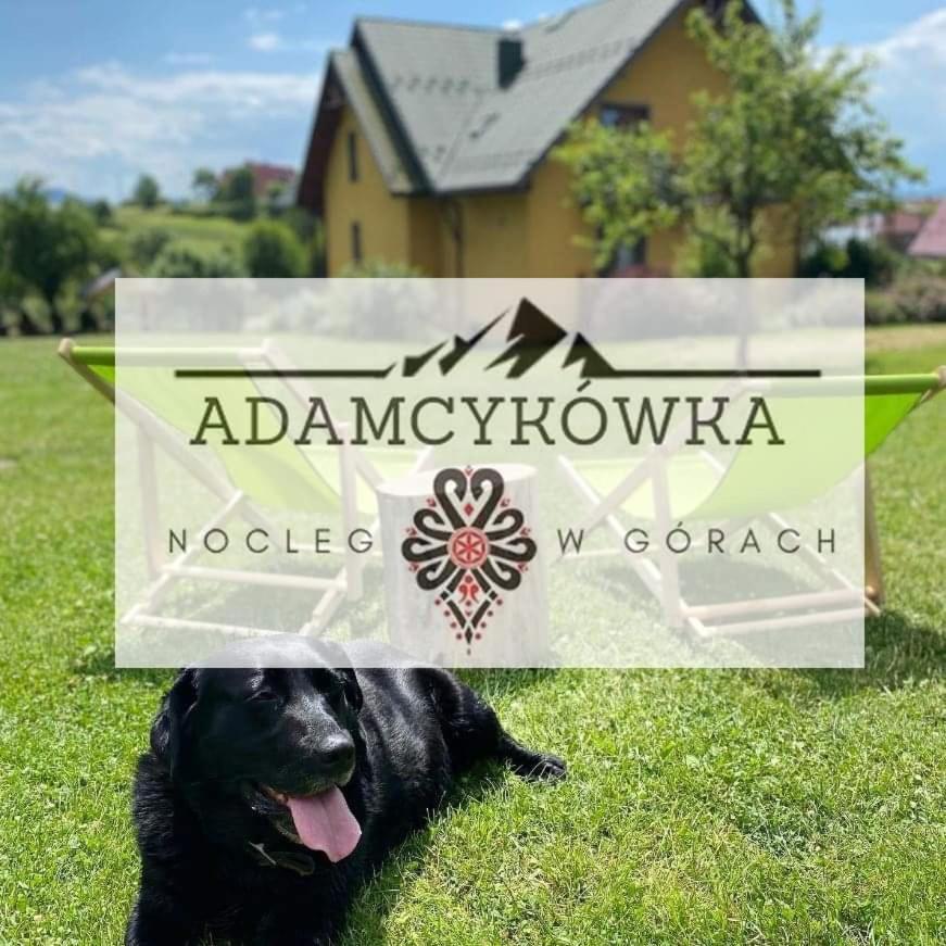 Apartamenty Adamcykowka Blisko Velo Czorsztyn! Клюшковце Экстерьер фото