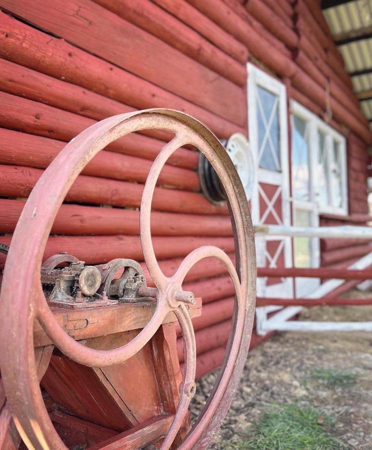 Apartamenty Adamcykowka Blisko Velo Czorsztyn! Клюшковце Экстерьер фото