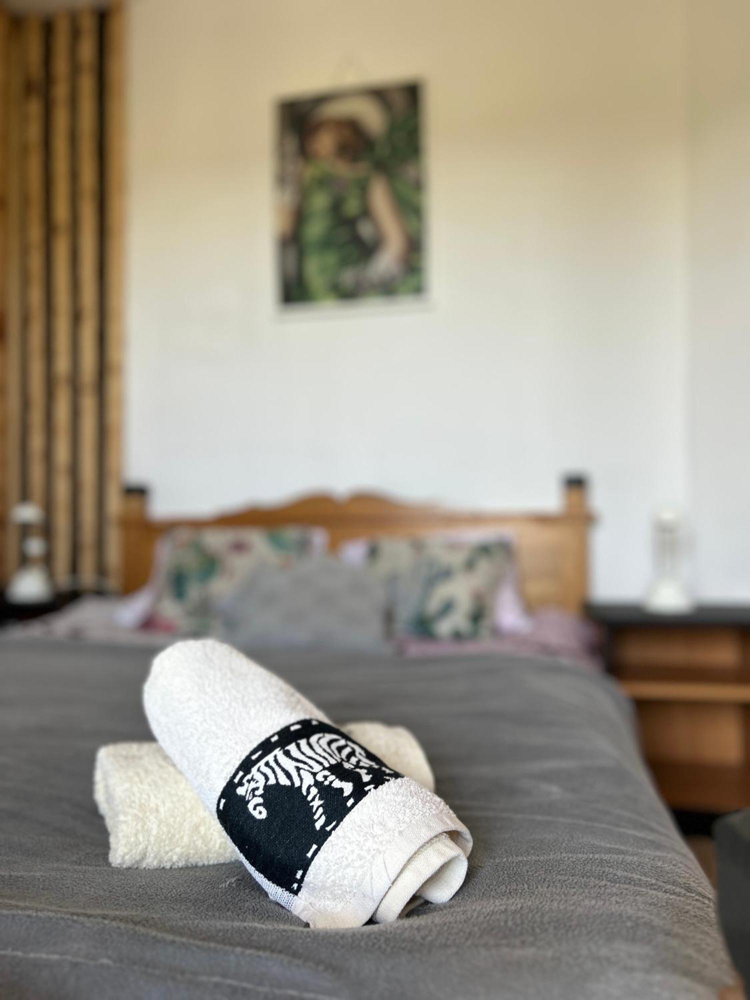 Apartamenty Adamcykowka Blisko Velo Czorsztyn! Клюшковце Экстерьер фото