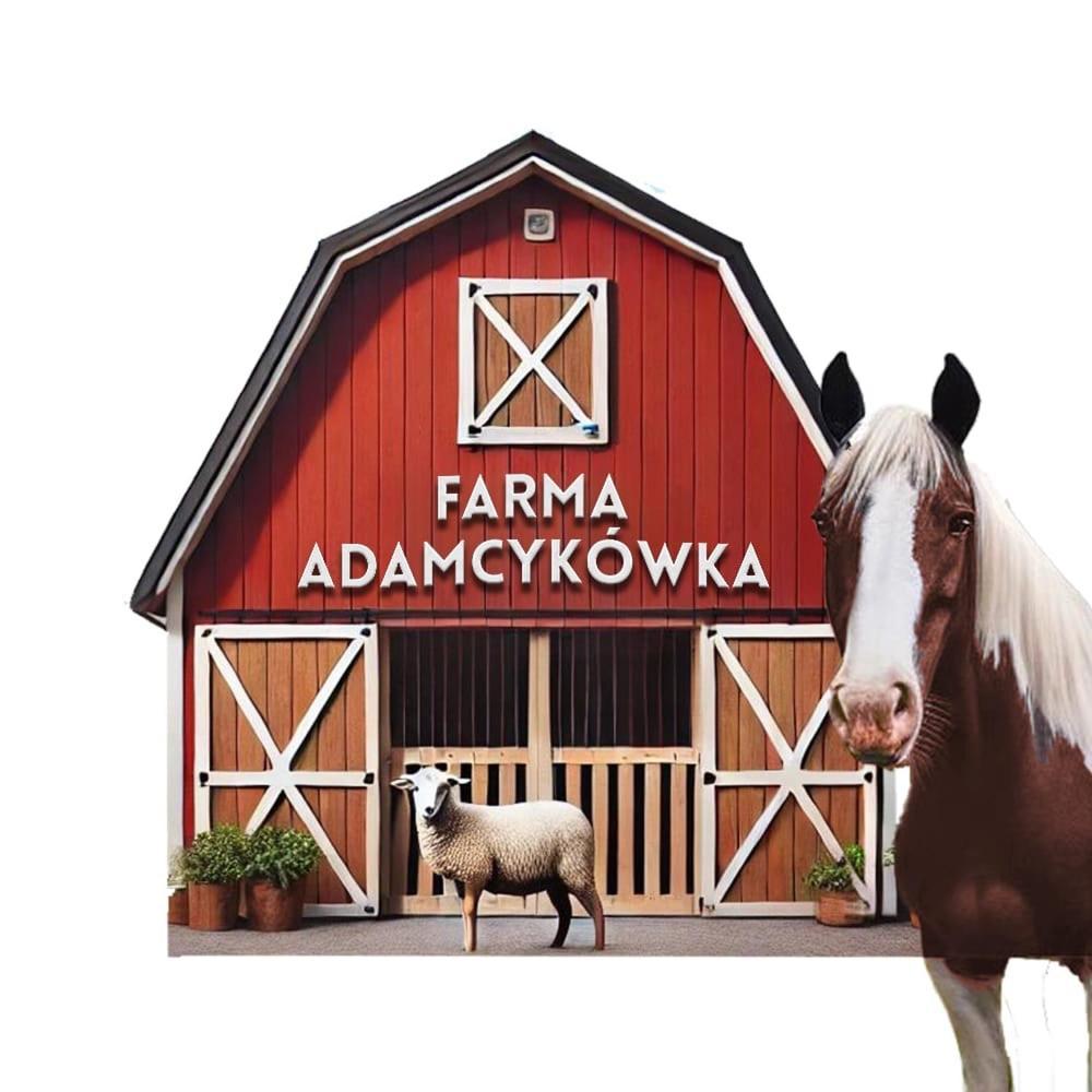 Apartamenty Adamcykowka Blisko Velo Czorsztyn! Клюшковце Экстерьер фото